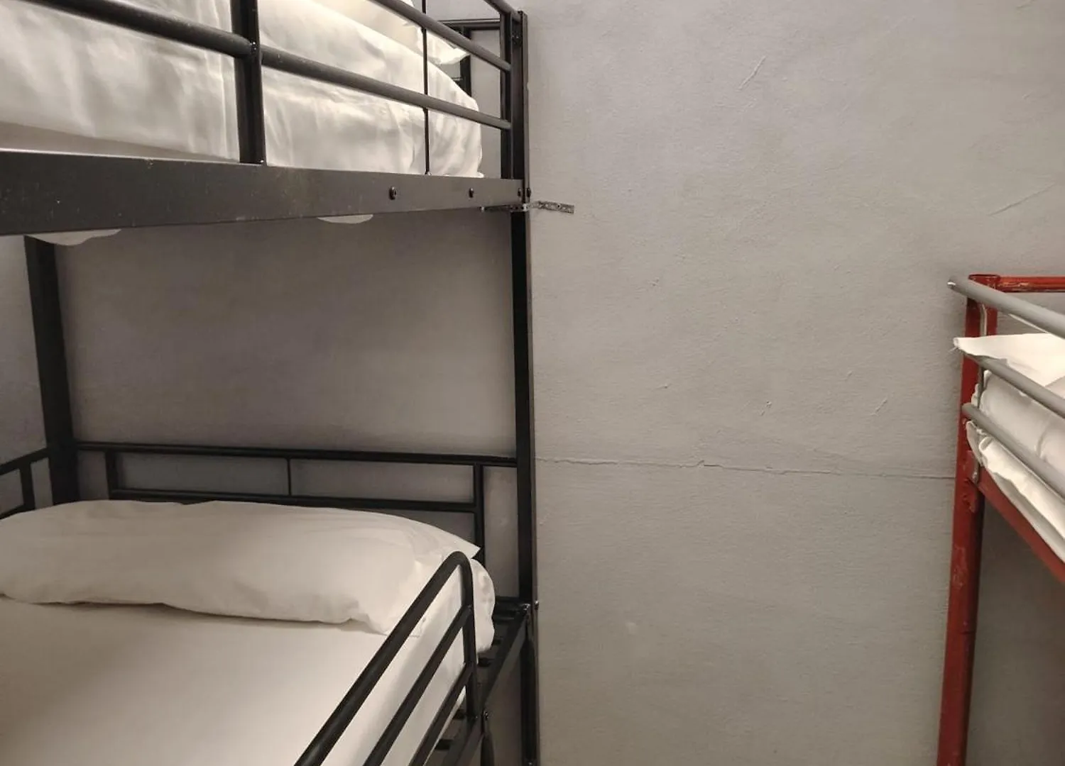 Lion University&Youth Hostel Milano 2 Guest house Milan